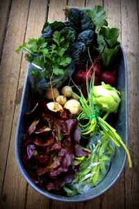 Selling Your Abundance: An Introduction to Working with Restaurants and Building Farm-to-Table Relationships Image